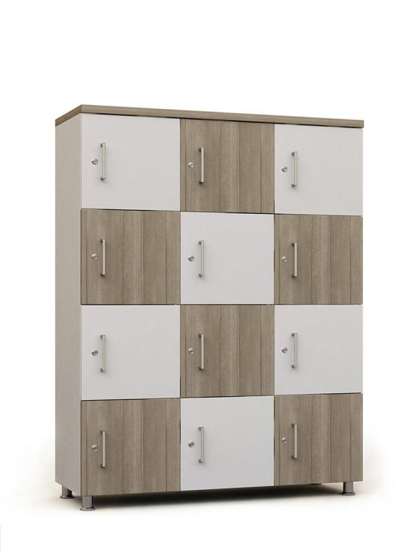 12 Bölmeli Evrak Dolabı